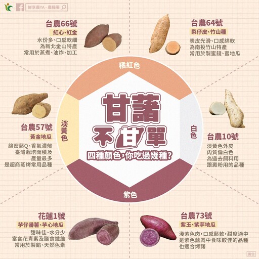 超商烤地瓜為何特別好吃? 專家曝祕訣:「簡單1步驟」不會變黑、還更香甜