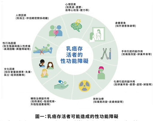 張金堅：勿輕忽乳癌病友的性健康議題