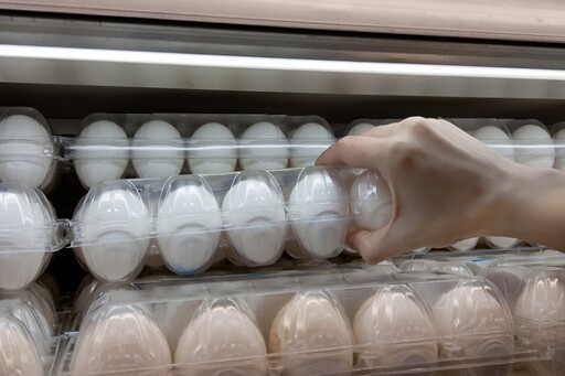 15萬顆芬普尼雞蛋流入市場！為何雞蛋常溫賣、回家卻要冷藏？ 專家揭真相