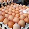 「洗選蛋vs.散裝蛋」哪種比較安全？專家揭關鍵差異 這1種料理前務必先洗