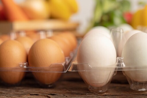 芬普尼蛋流向9縣市!「同品牌不同日期」的蛋也有問題嗎? 專家給答案