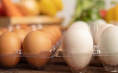 芬普尼蛋流向9縣市！「同品牌不同日期」的蛋也有問題嗎？ 專家給答案