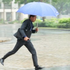 鳳凰颱風來襲！疾管署籲民眾防疫三步驟 避免登革熱、類鼻疽等傳染病上身