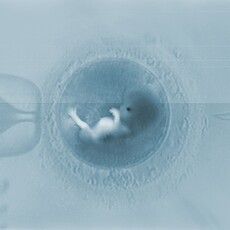 媽媽拼二胎更急？醫曝哺乳期試管迷思 建議「停乳一個月」更安全