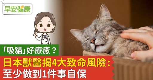 「吸貓」好療癒？日本獸醫揭4大致命風險：至少做到1件事自保