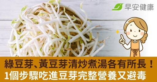 綠豆芽、黃豆芽清炒煮湯各有所長！1個步驟吃進豆芽完整營養又避毒