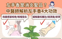 左手香功效能消炎消腫！左手香可以吃嗎？中醫師解析左手香禁忌與正確用法避免中毒