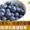 「北美藍寶石」冰過仍營養！選購看3點買到最優藍莓