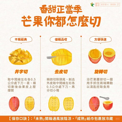 芒果怎麼切不沾手？教你5種切芒果妙招，快速去皮不滴汁、不浪費果肉！