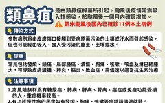 颱風後「類鼻疽」疫情創新高！疾管署示警3症狀快就醫，致死率最高破7成