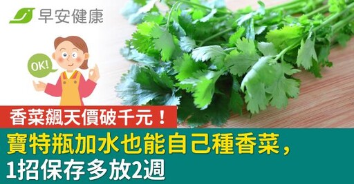 香菜飆天價破千元！寶特瓶加水也能自己種香菜，1招保存多放2週