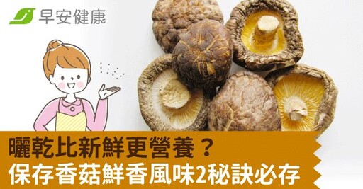 曬乾比新鮮更營養？保存香菇鮮香風味2秘訣必存