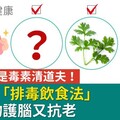 這些蔬菜是毒素清道夫！防失智「排毒飲食法」8種食物護腦又抗老