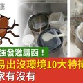 別再對小強發邀請函！蟑螂容易出沒環境10大特徵快看你家有沒有