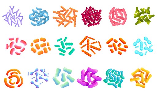 為什麼要吃益生菌?益生菌功用不只改善消化道,5大益生菌功效全面調理體質!