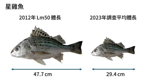 世界海洋日 綠色和平攜手專家 揭臺灣海洋三大挑戰