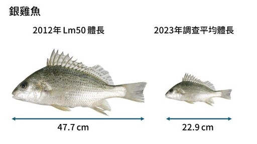 世界海洋日 綠色和平攜手專家 揭臺灣海洋三大挑戰