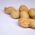 減量花生食品，避免黃麴毒素吃下肚