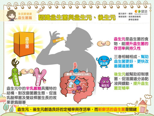 益生菌、益生元、後生元傻傻分不清？ 三效並進改善身體才有效
