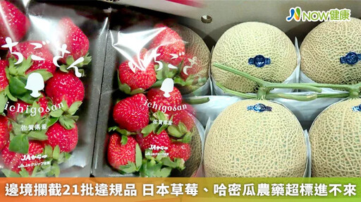 邊境攔截21批違規品 日本草莓、哈密瓜農藥超標進不來
