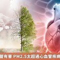 空汙對心血管有害 PM2.5太超過心血管疾病住院風險增