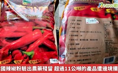 韓國辣椒粉驗出農藥殘留 超過11公噸的產品遭邊境攔截