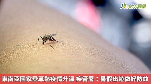 東南亞國家登革熱疫情升溫 疾管署：暑假出遊做好防蚊