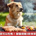 中秋烤肉毛孩可以吃嗎？ 獸醫提醒3飲食禁忌千萬別犯