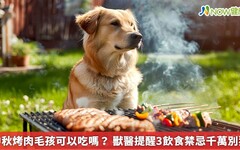 中秋烤肉毛孩可以吃嗎？ 獸醫提醒3飲食禁忌千萬別犯