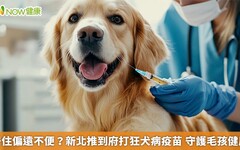 居住偏遠不便？新北推到府打狂犬病疫苗 守護毛孩健康