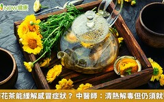 菊花茶能緩解感冒症狀？ 中醫師：清熱解毒但仍須就醫