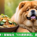 6成毛孩過胖！獸醫點名「4大肥胖原因」 餵食剩菜上榜