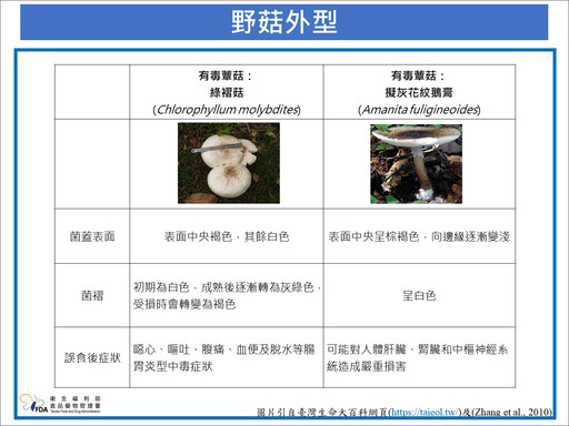 路邊野菇不採不食！食藥署：誤食恐中毒 嚴重損害肝腎