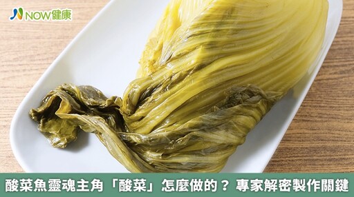 酸菜魚靈魂主角「酸菜」怎麼做的？ 專家解密製作關鍵