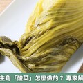 酸菜魚靈魂主角「酸菜」怎麼做的？ 專家解密製作關鍵