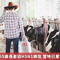 警戒！美國65歲長者染H5N1病危 當地已累計61人染疫