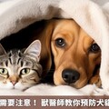 天冷毛孩也需要注意！ 獸醫師教你預防犬貓2常見疾病