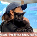 幼貓染貓皰疹險瞎 中和動物之家細心救治助牠重見光明