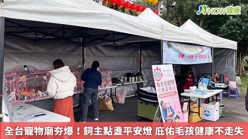 全台寵物廟夯爆！飼主點盞平安燈 庇佑毛孩健康不走失