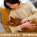 毛孩臨終前6大徵兆飼主必知！ 陪伴寵物走完最後1哩路