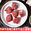 開放日本全牛齡牛肉進口憂狂牛症？ 庫賈氏病分4類型