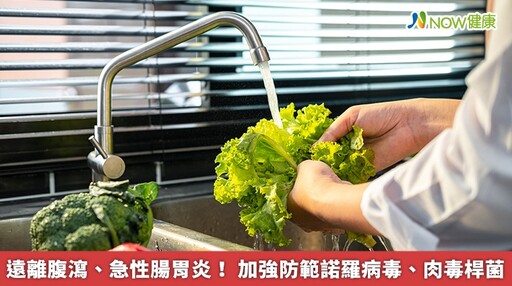 遠離腹瀉、急性腸胃炎！ 加強防範諾羅病毒、肉毒桿菌