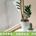 如何遠離居家環境毒害？ 遠離電磁波、保持通風、植栽