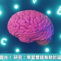 大腦越用越靈光！ 研究：學習雙語有助於延緩認知退化