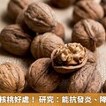 你不知道的核桃好處！ 研究：能抗發炎、降結腸癌風險