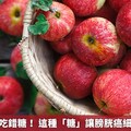 癌細胞最怕吃錯糖！ 這種「糖」讓膀胱癌細胞自爆焦亡