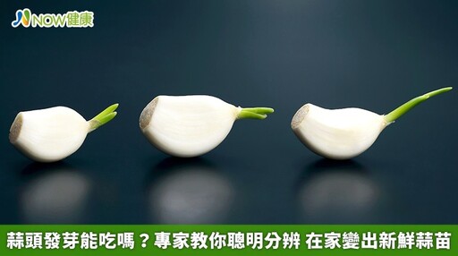蒜頭發芽能吃嗎?專家教你聰明分辨 在家變出新鮮蒜苗