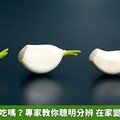 蒜頭發芽能吃嗎？專家教你聰明分辨 在家變出新鮮蒜苗