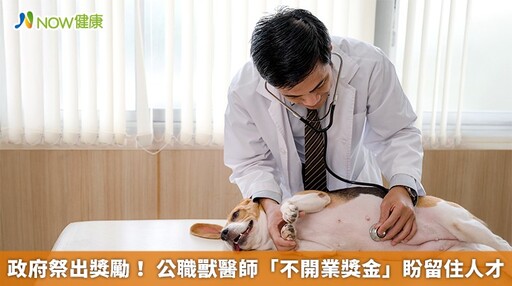 政府祭出獎勵! 公職獸醫師「不開業獎金」盼留住人才