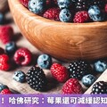 不只抗氧化！ 哈佛研究：莓果還可減緩認知能力的退化